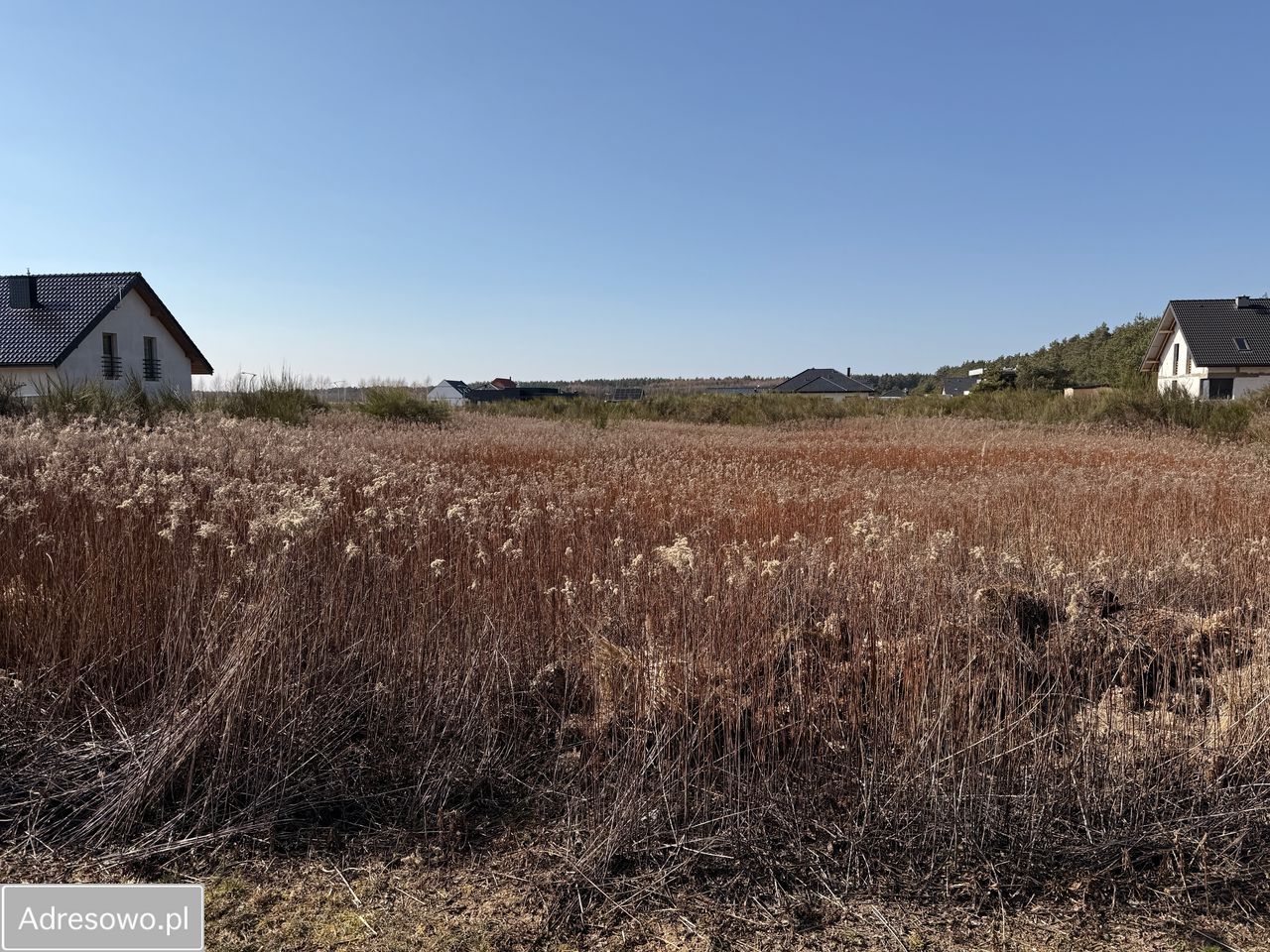 Działka budowlana Charzyno, ul. Willowa. Zdjęcie 6