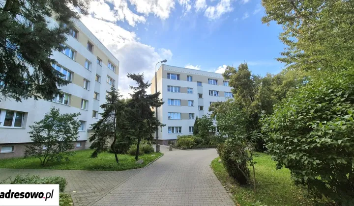 Pokój Gdańsk Żabianka, ul. Sztormowa