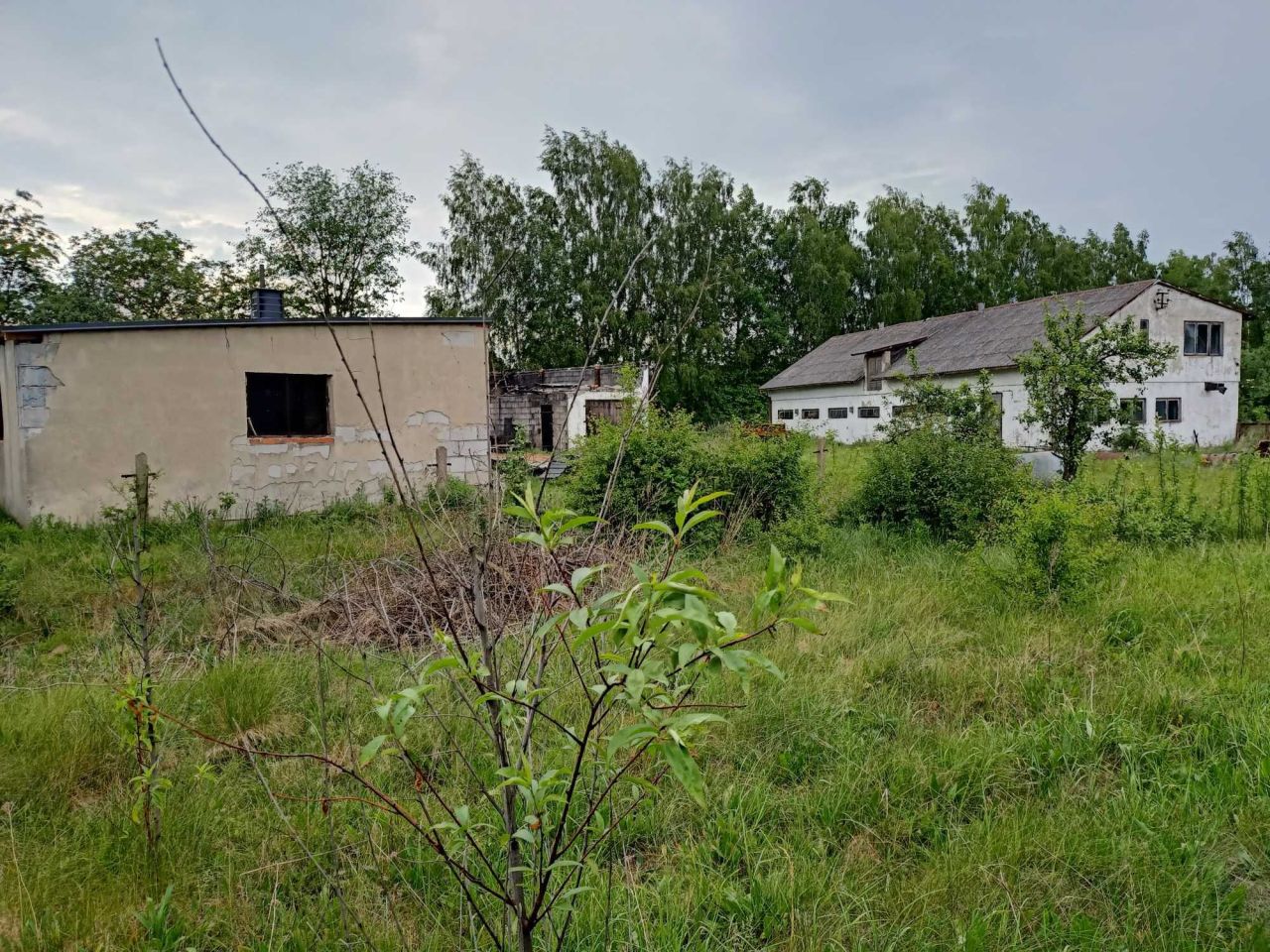 Działka budowlana Pogorzałe Ługi. Zdjęcie 3