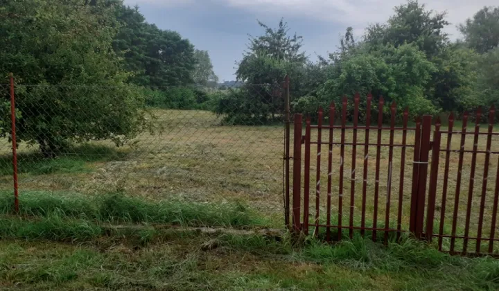 Działka siedliskowa Połchowo