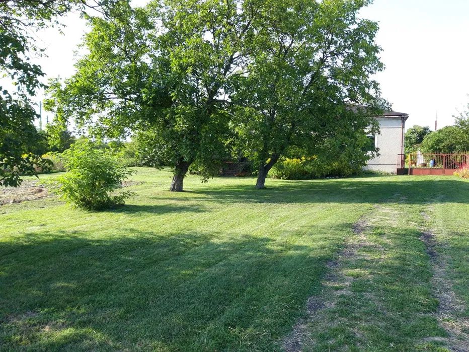 Działka rolno-budowlana Opiesin. Zdjęcie 2