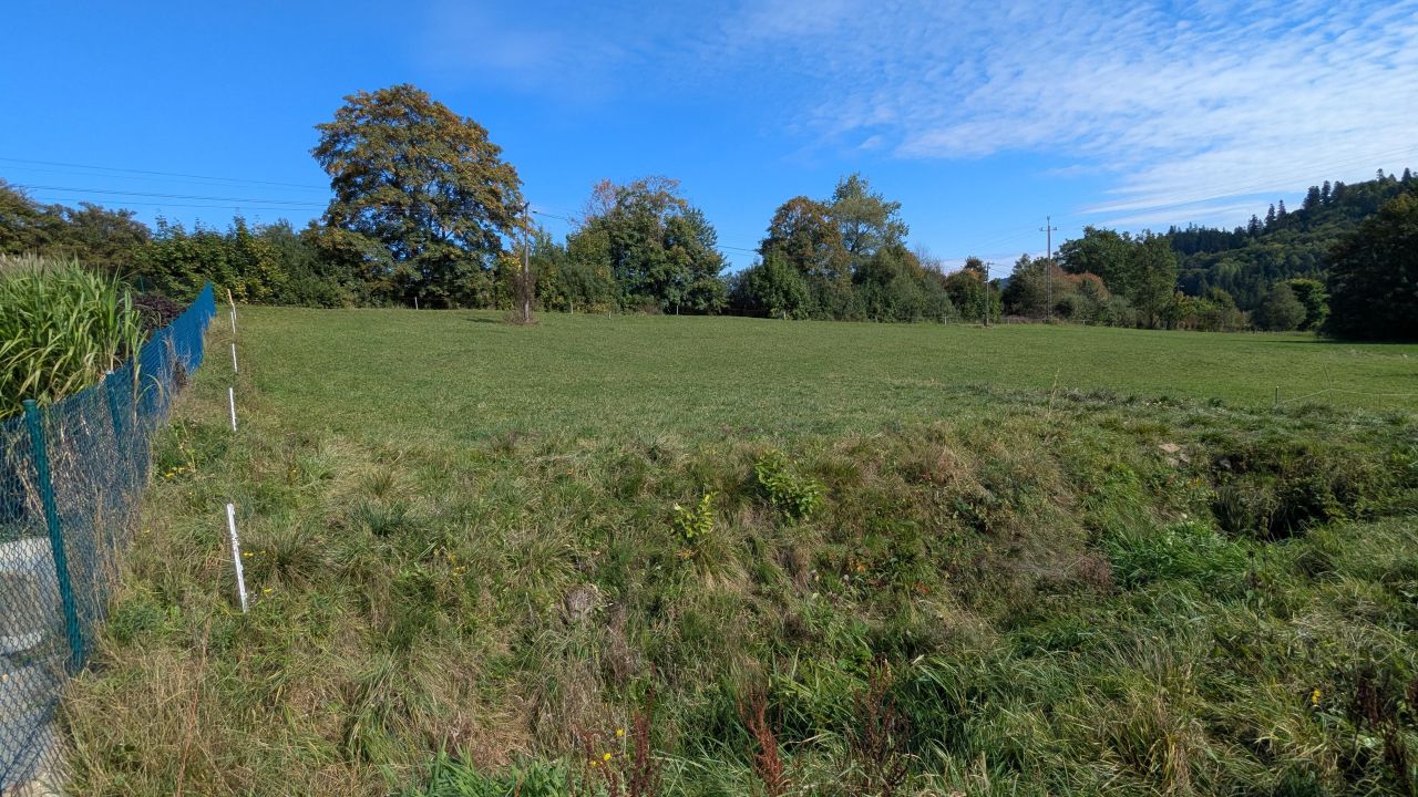 Działka budowlana Falsztyn, ul. Królowej Polski. Zdjęcie 10