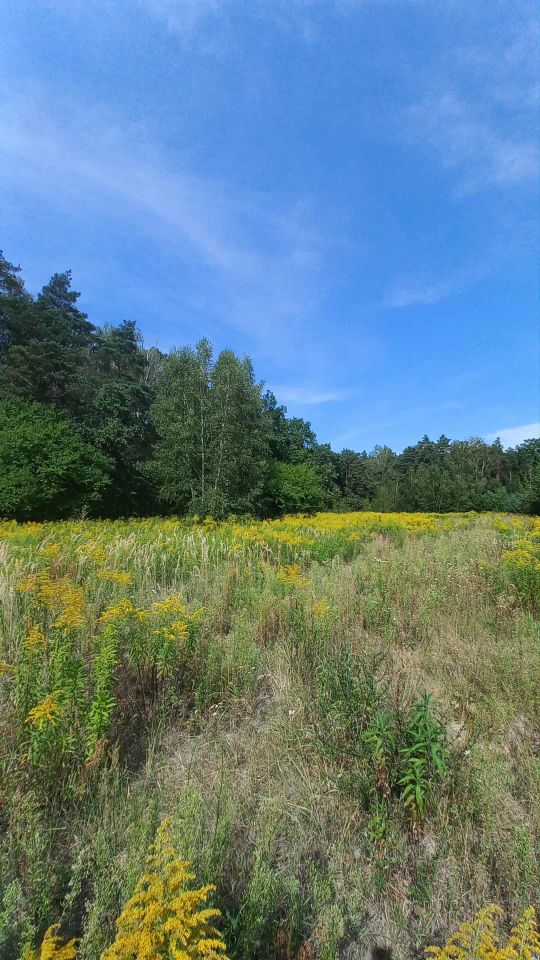 Działka budowlana Leszno, ul. Sochaczewska. Zdjęcie 11