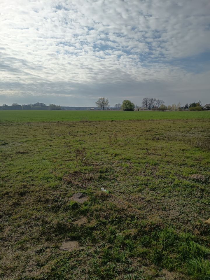 Działka budowlana Budy Ciepielińskie. Zdjęcie 12