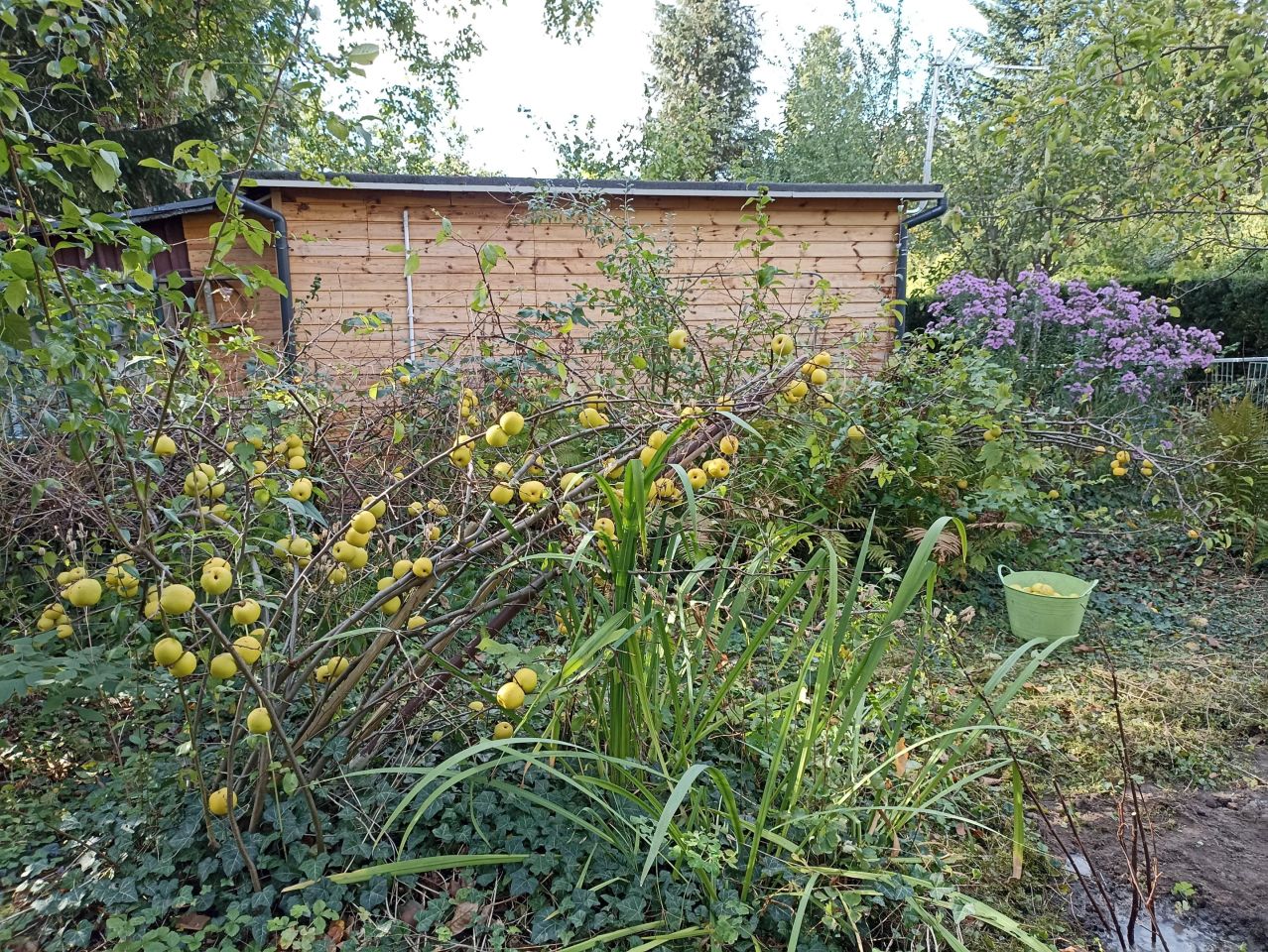 Działka rod Warszawa Mokotów, al. Niepodległości. Zdjęcie 13