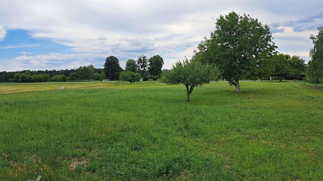 Działka budowlana Trachy, ul. Raciborska. Zdjęcie 1