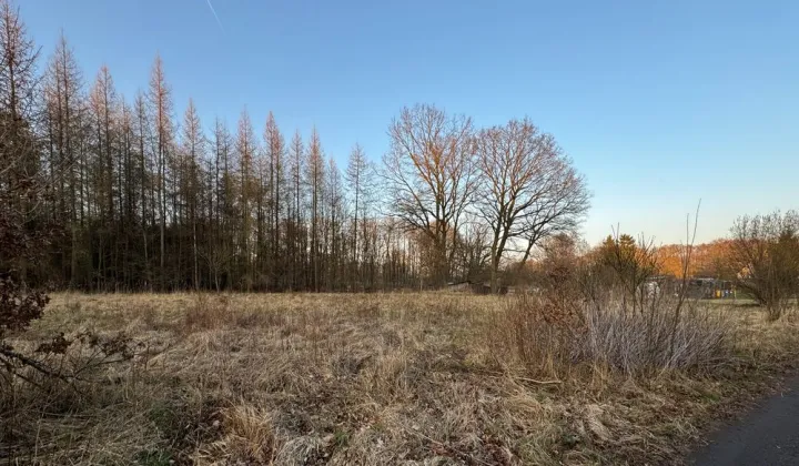 Działka rolno-budowlana Błotno Błotny Młyn