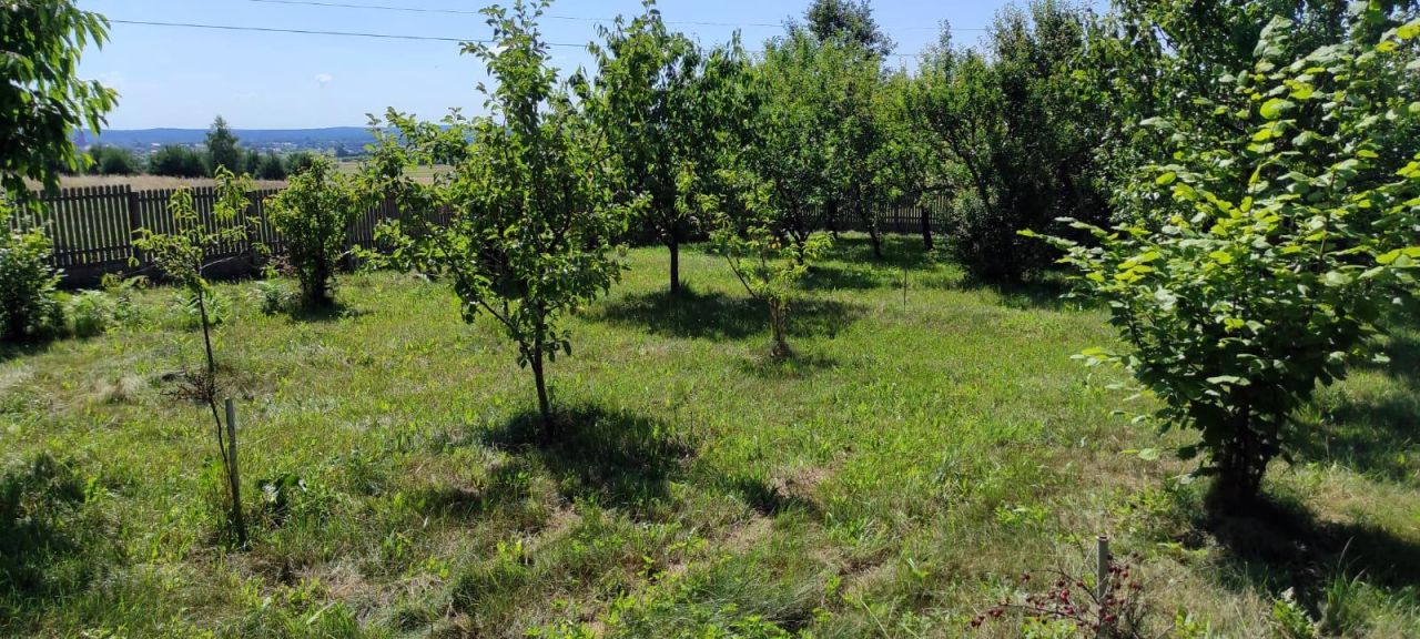 Działka inwestycyjna Suków Borki. Zdjęcie 4