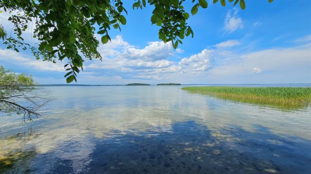 Działka rekreacyjna Zdory. Zdjęcie 16