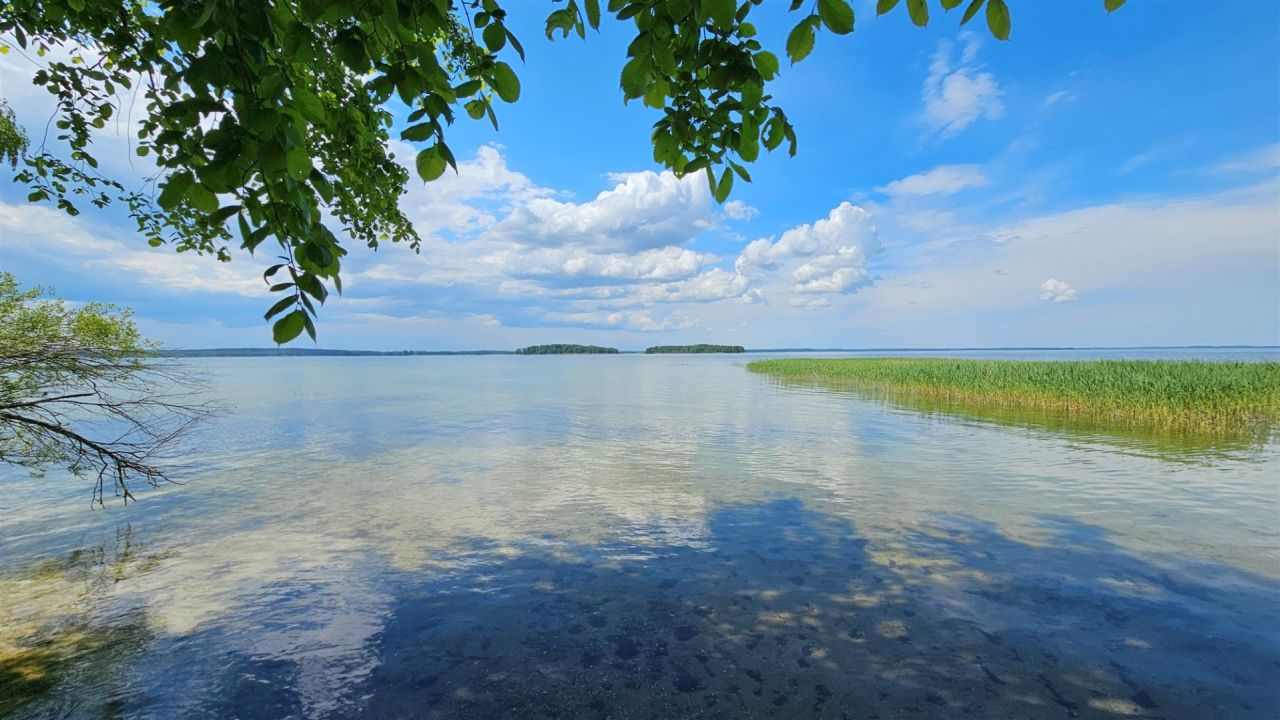 Działka rekreacyjna Zdory. Zdjęcie 16