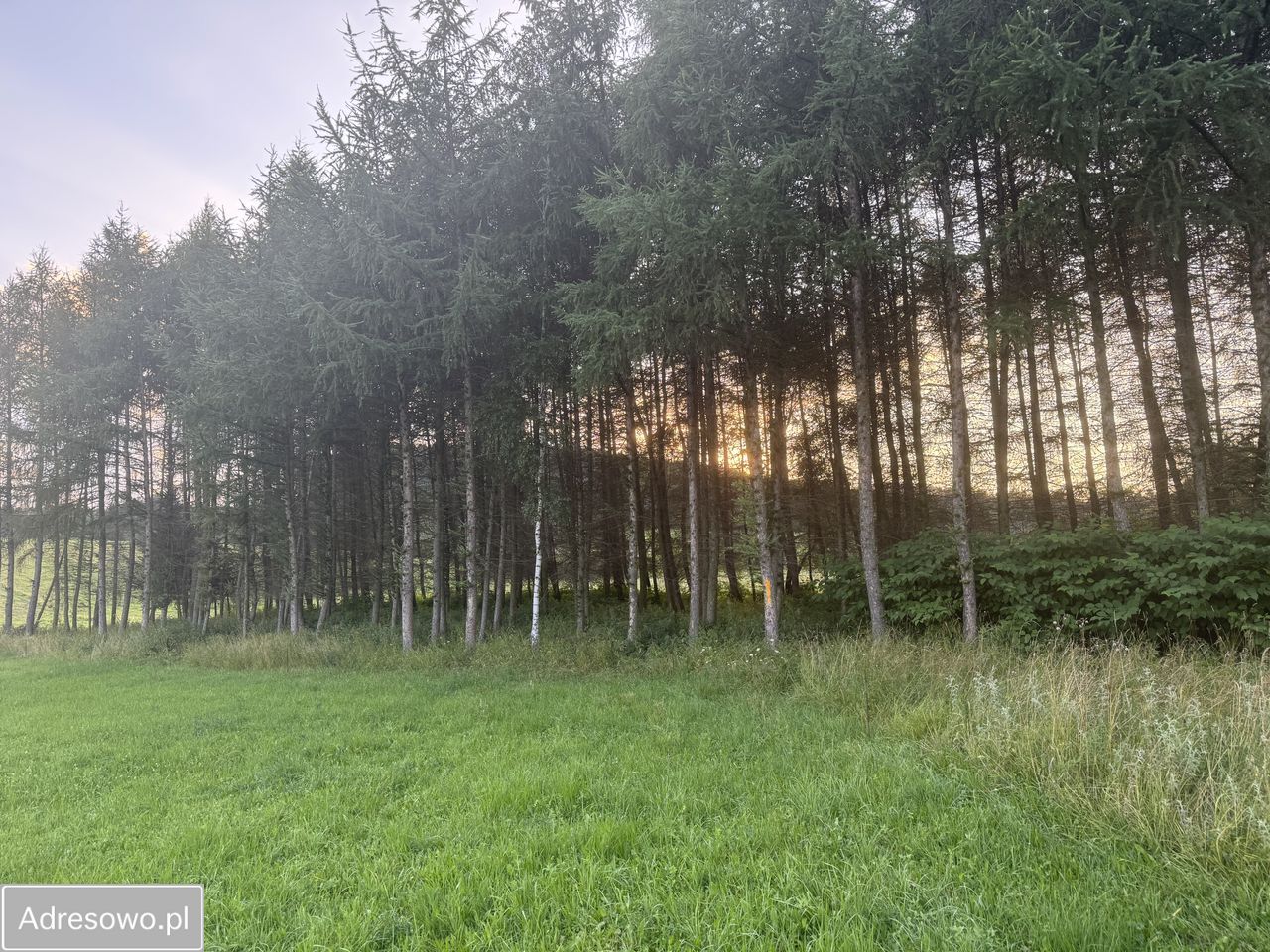 Działka inwestycyjna Śnietnica. Zdjęcie 9