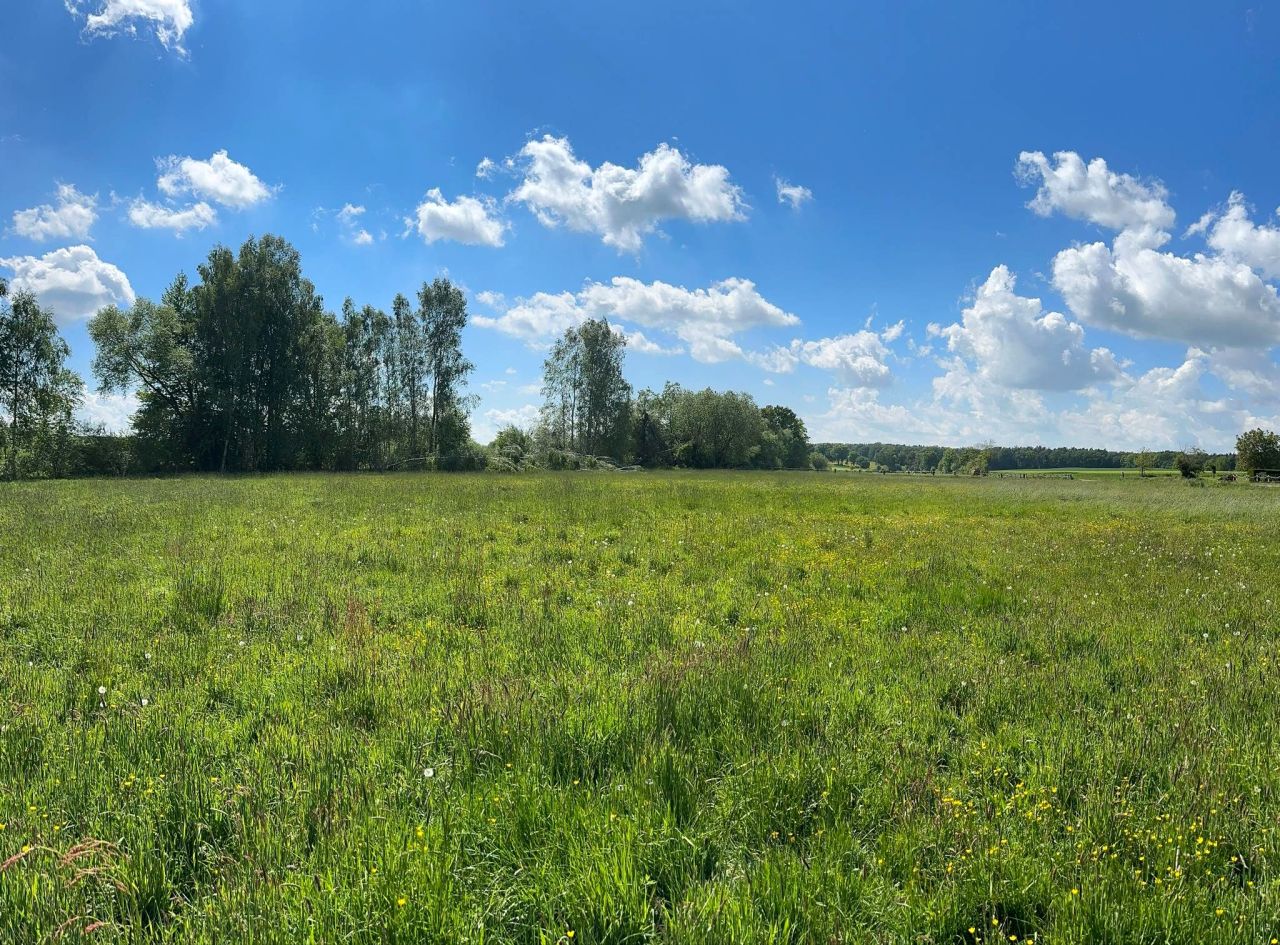 Działka budowlana Zdziechowice. Zdjęcie 9