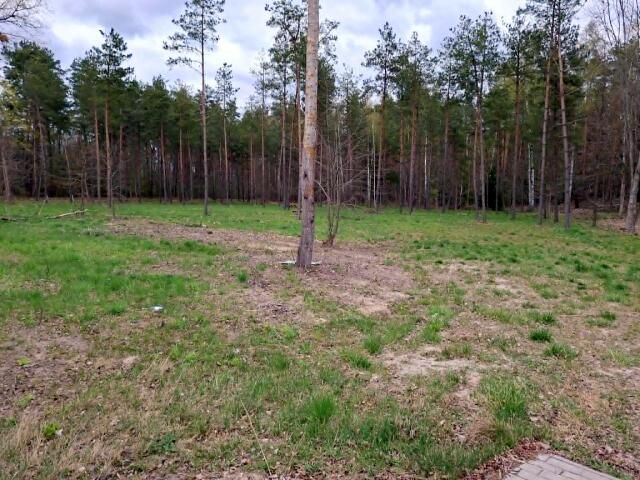 Działka budowlana Rydzewo, ul. Mazurska. Zdjęcie 10