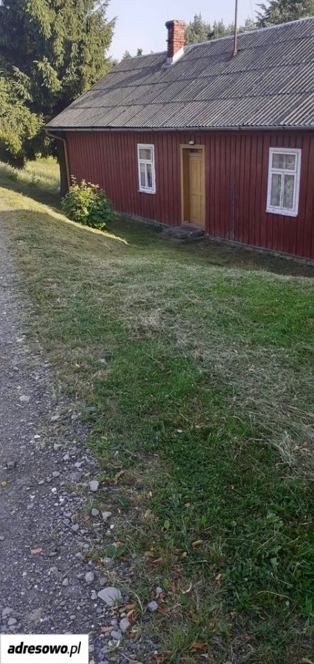 Działka rolna Jastrzębia Łazy. Zdjęcie 3