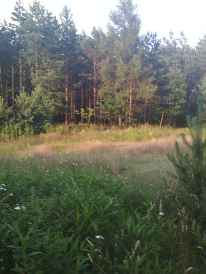 Działka rekreacyjna Rumunki Tupadelskie. Zdjęcie 5