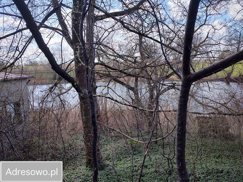 gospodarstwo, 7 pokoi Szczutkowo. Zdjęcie 3