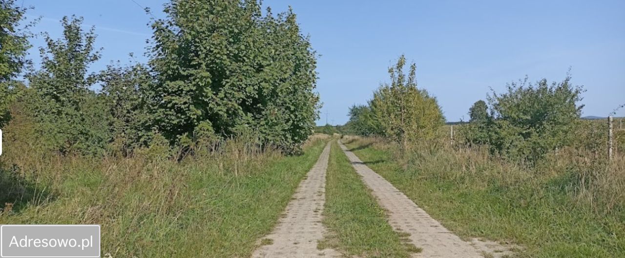 Działka rolna Objazda. Zdjęcie 5