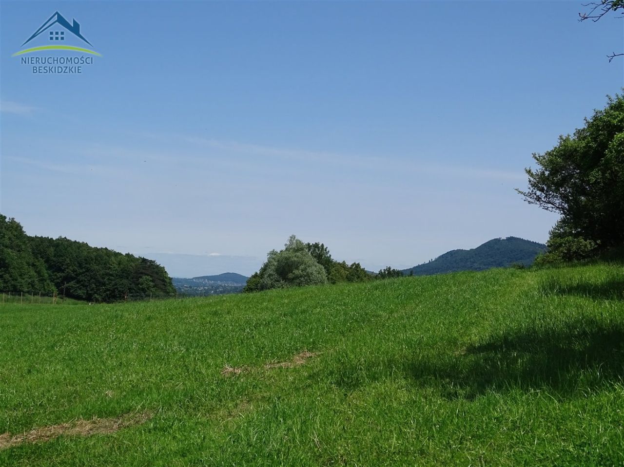 Działka rolno-budowlana Cisownica. Zdjęcie 6