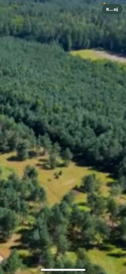 Działka rolno-budowlana Wiewiórowo. Zdjęcie 5