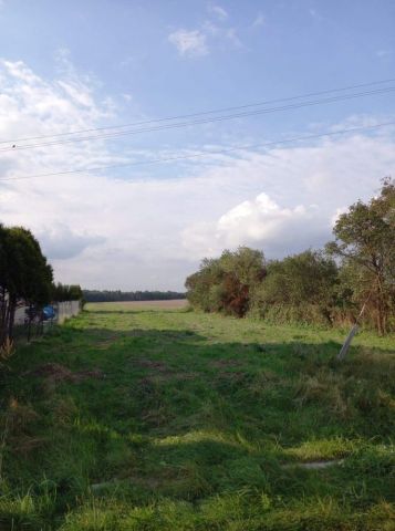 Działka rolna Taraska. Zdjęcie 1
