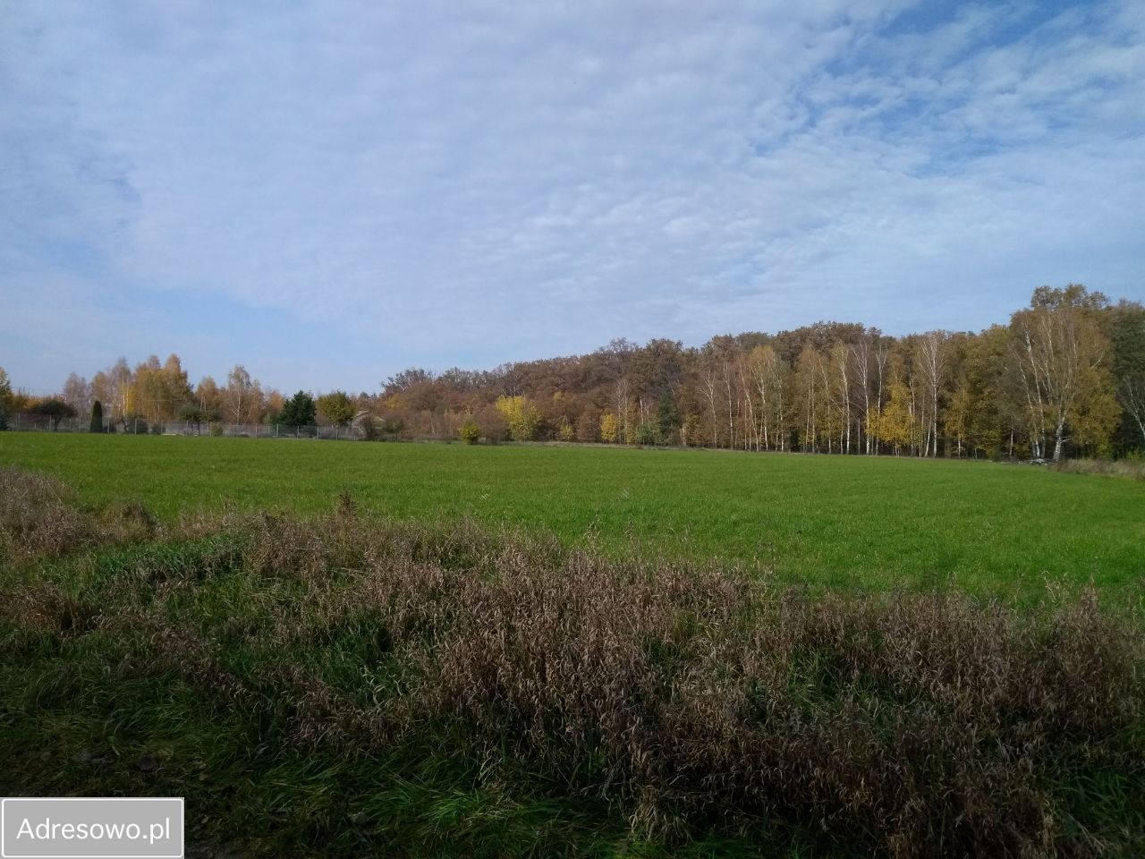 Działka budowlana Radziwiłłów. Zdjęcie 11