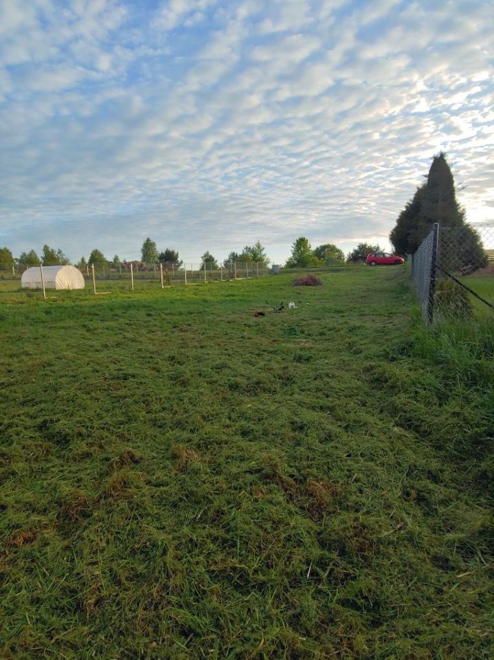 Działka budowlana Dąbrówno, ul. Polna. Zdjęcie 8