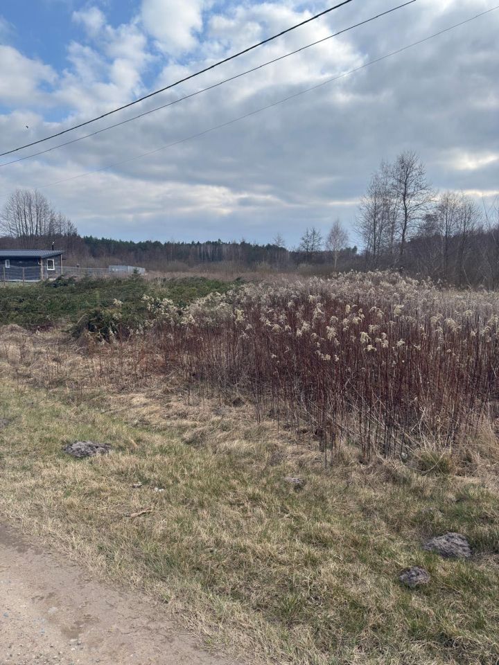 Działka budowlana Trzcianno. Zdjęcie 4