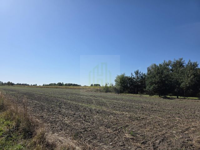 Działka budowlana Nowe Faszczyce. Zdjęcie 9