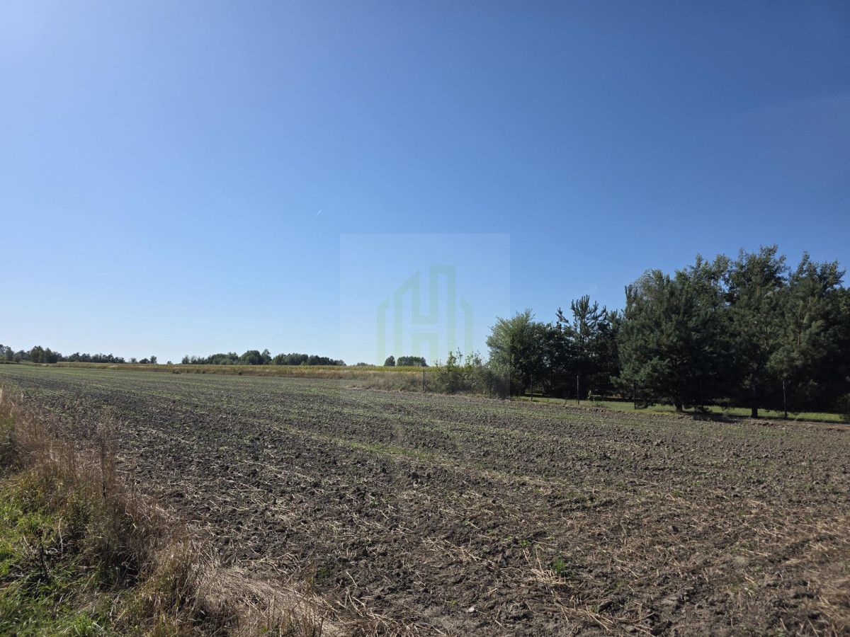 Działka budowlana Nowe Faszczyce. Zdjęcie 9