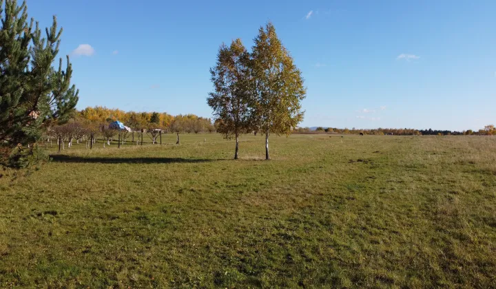 Działka budowlana Kielce, ul. Wikaryjska