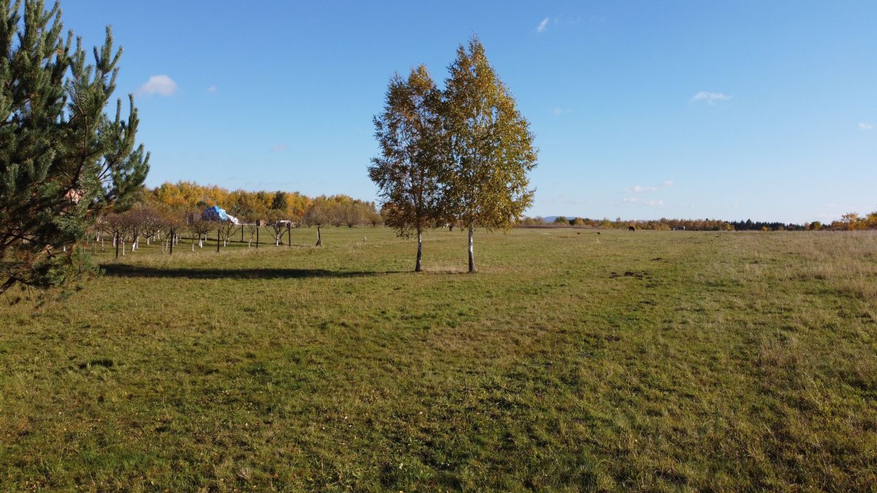 Działka budowlana Kielce, ul. Wikaryjska