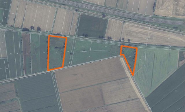 Działka rolna Pilona. Zdjęcie 1