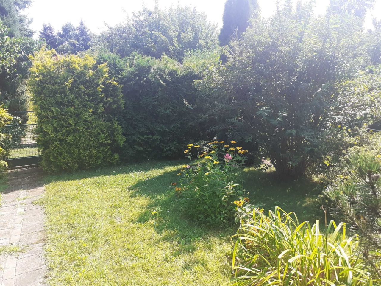 Działka rod Warszawa Białołęka. Zdjęcie 1
