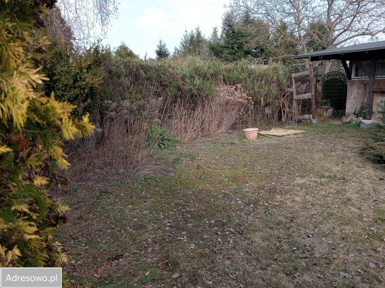 Działka rod Poznań Grunwald, ul. Bukowska. Zdjęcie 16