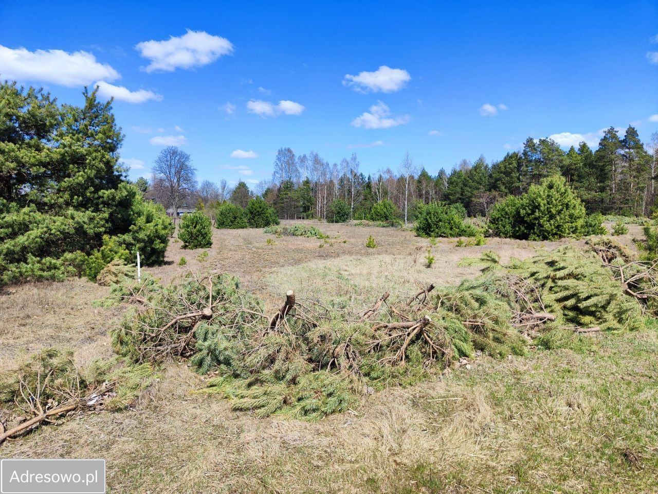 Działka Żeleźnia. Zdjęcie 3