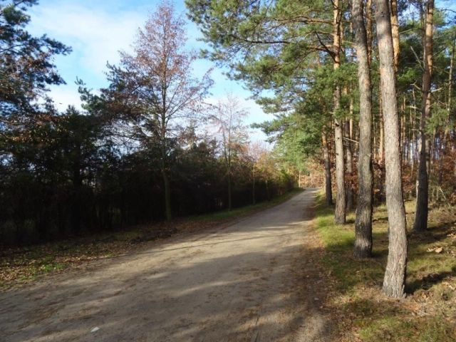 Działka budowlana Borówiec, ul. Poznańska. Zdjęcie 2