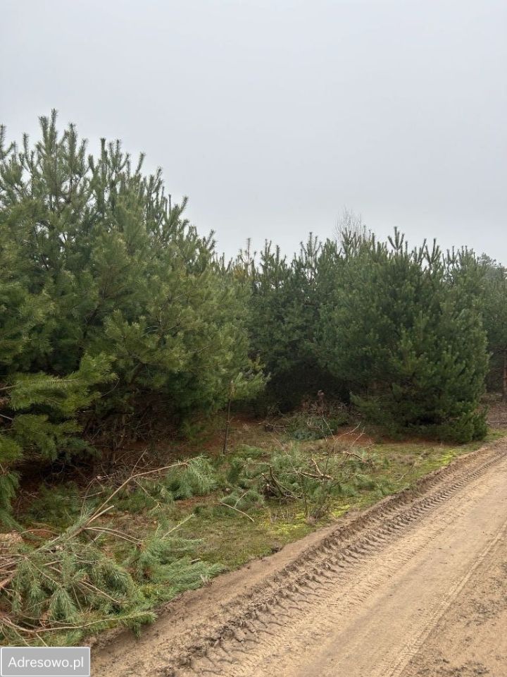 Działka budowlana Krawcowizna. Zdjęcie 3