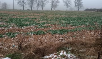Działka budowlana Krasnystaw, ul. Bojarskiego