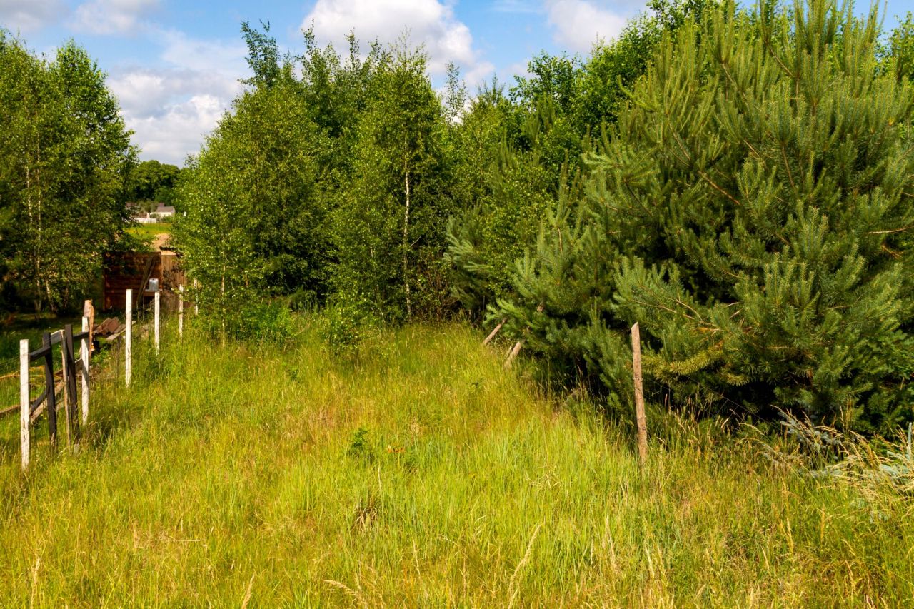 Działka budowlana Nieżyn. Zdjęcie 12