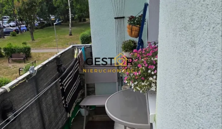 Mieszkanie 2-pokojowe Dzierżoniów Nowe Miasto, os. Różane