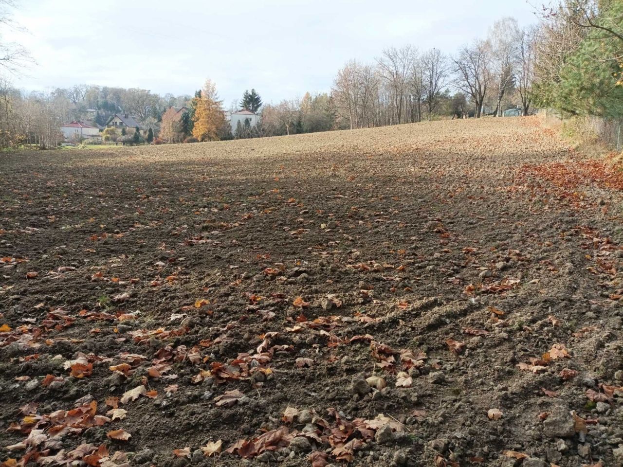 Działka inwestycyjna Strzelce. Zdjęcie 3