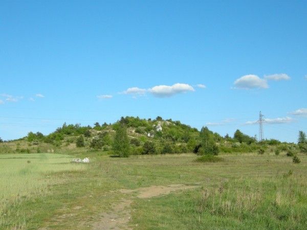 Działka inwestycyjna Częstochowa Mirów, ul. Kwiatowa. Zdjęcie 9