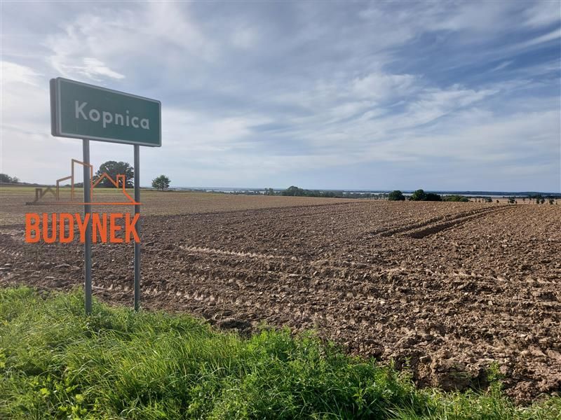 Działka rolna Kopnica. Zdjęcie 13