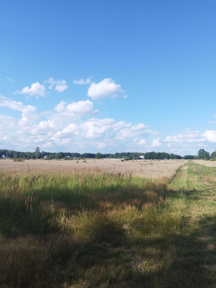 Działka budowlana Nowa Dębowa Wola. Zdjęcie 3