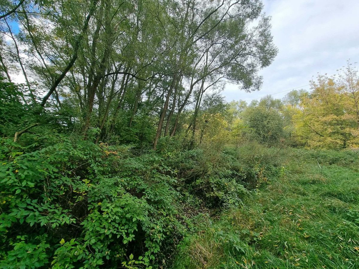 Działka rekreacyjna Zabierzów, ul. Zachodnia. Zdjęcie 3
