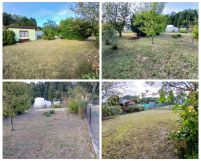 Działka rod Rogoźnik. Zdjęcie 3