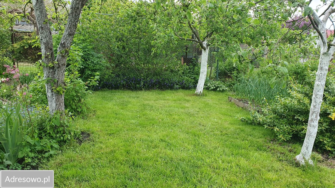 Działka rod Szczecin Śródmieście. Zdjęcie 14