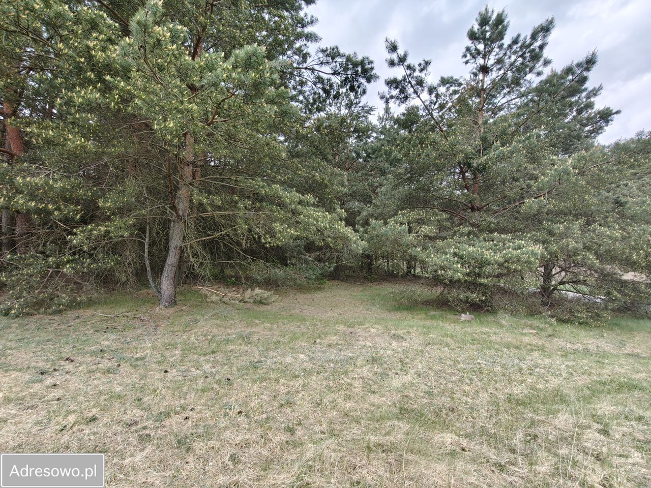 Działka budowlana Elgiszewo. Zdjęcie 8