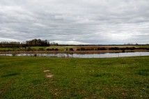 Działka rolna Grom. Zdjęcie 4