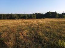 Działka budowlana Dąbie. Zdjęcie 2